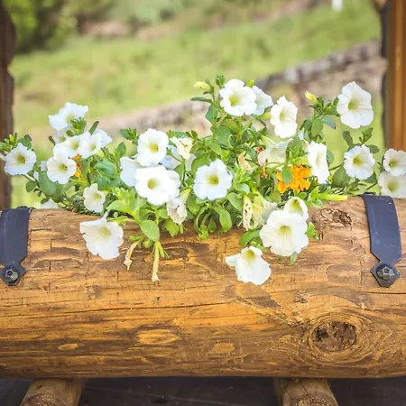 Bed & Breakfast La Masia Del Taulat D'hotes 3*