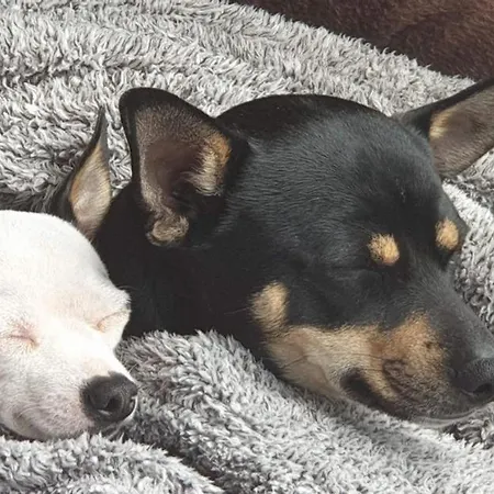 Bed & Breakfast La Masia Del Taulat D'hotes 3*