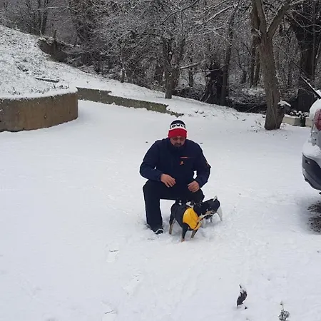 Bed & Breakfast La Masia Del Taulat D'hotes Llo