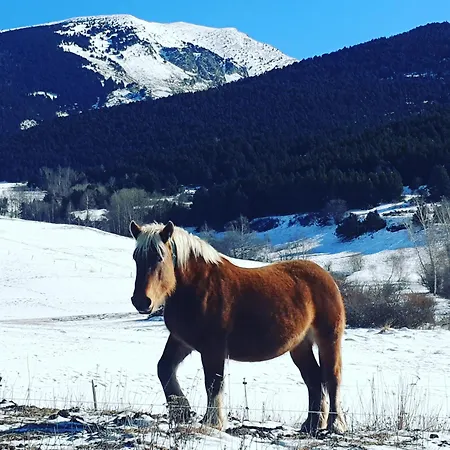 La Masia Del Taulat D'hotes 3* Llo