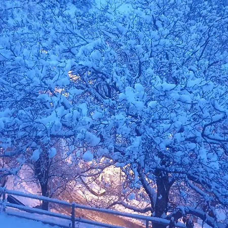 La Masia Del Taulat D'hotes Bed & Breakfast